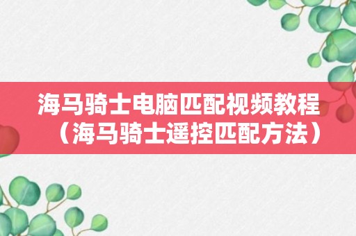 海马骑士电脑匹配视频教程（海马骑士遥控匹配方法）