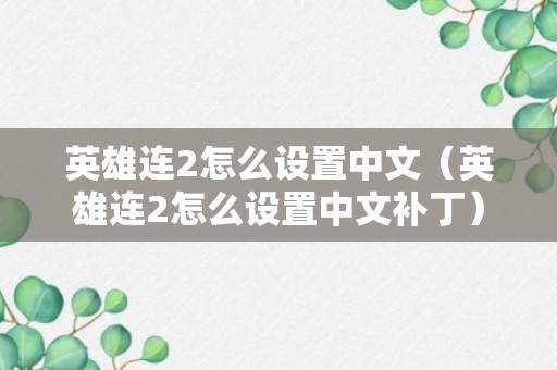 英雄连2怎么设置中文（英雄连2怎么设置中文补丁）