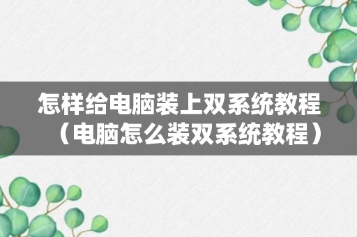 怎样给电脑装上双系统教程（电脑怎么装双系统教程）