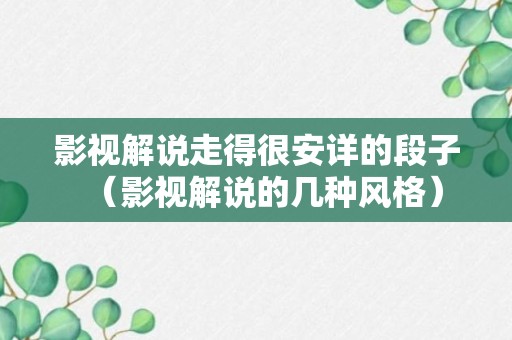 影视解说走得很安详的段子（影视解说的几种风格）