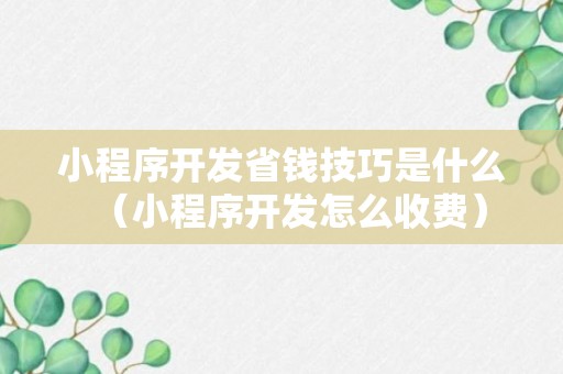 小程序开发省钱技巧是什么（小程序开发怎么收费）