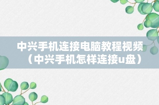 中兴手机连接电脑教程视频（中兴手机怎样连接u盘）