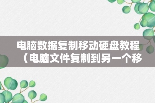 电脑数据复制移动硬盘教程（电脑文件复制到另一个移动硬盘最快的方法）