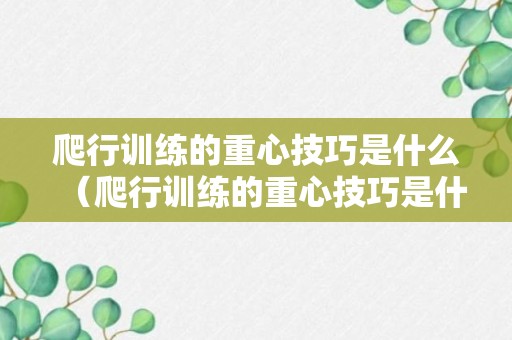 爬行训练的重心技巧是什么（爬行训练的重心技巧是什么呢）