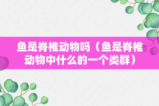 鱼是脊椎动物吗（鱼是脊椎动物中什么的一个类群）