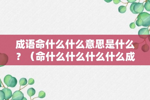 成语命什么什么意思是什么？（命什么什么什么什么成语）