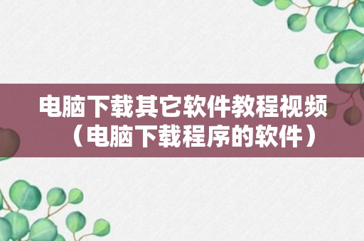 电脑下载其它软件教程视频（电脑下载程序的软件）