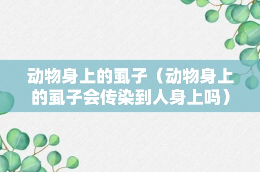 动物身上的虱子（动物身上的虱子会传染到人身上吗）