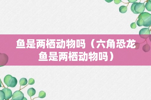 鱼是两栖动物吗（六角恐龙鱼是两栖动物吗）