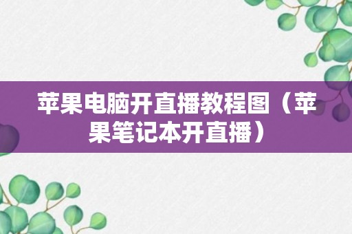 苹果电脑开直播教程图（苹果笔记本开直播）