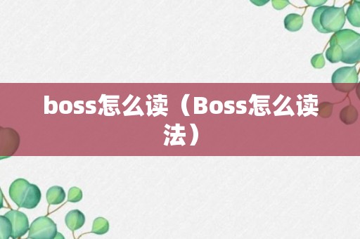 boss怎么读（Boss怎么读法）