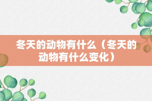 冬天的动物有什么（冬天的动物有什么变化）