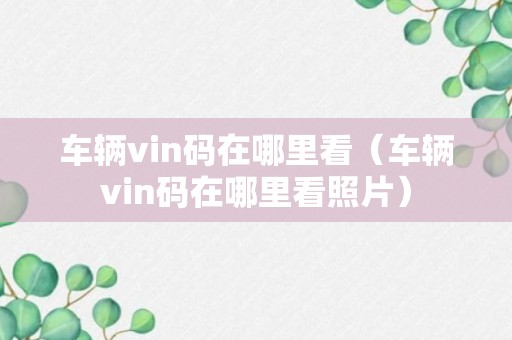 车辆vin码在哪里看（车辆vin码在哪里看照片）