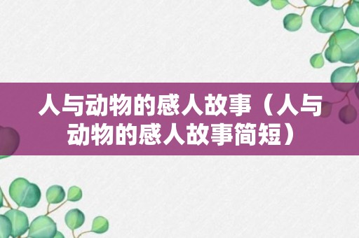 人与动物的感人故事（人与动物的感人故事简短）