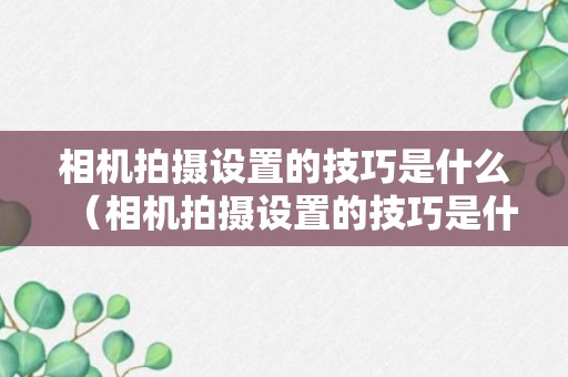 相机拍摄设置的技巧是什么（相机拍摄设置的技巧是什么意思）