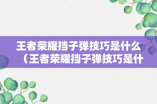 王者荣耀挡子弹技巧是什么（王者荣耀挡子弹技巧是什么）