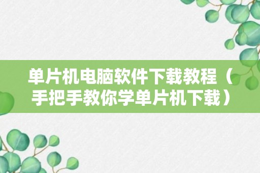 单片机电脑软件下载教程（手把手教你学单片机下载）