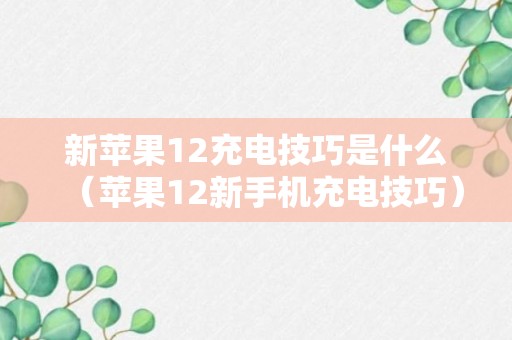 新苹果12充电技巧是什么（苹果12新手机充电技巧）