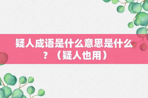 疑人成语是什么意思是什么？（疑人也用）