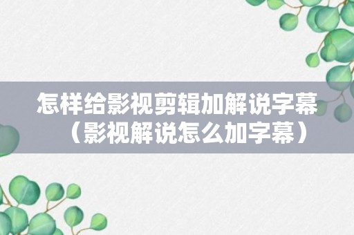 怎样给影视剪辑加解说字幕（影视解说怎么加字幕）