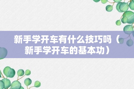 新手学开车有什么技巧吗（新手学开车的基本功）