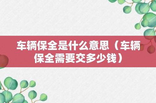 车辆保全是什么意思（车辆保全需要交多少钱）