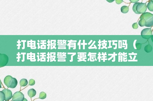 打电话报警有什么技巧吗（打电话报警了要怎样才能立案）