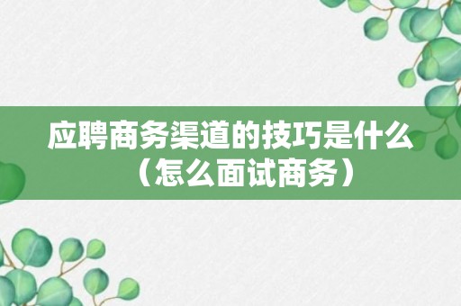 应聘商务渠道的技巧是什么（怎么面试商务）