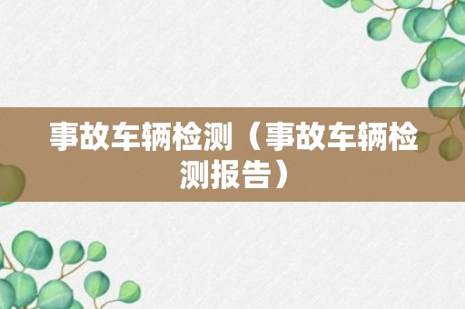 事故车辆检测（事故车辆检测报告）