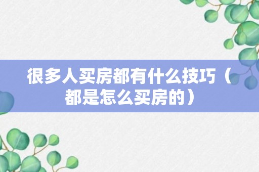 很多人买房都有什么技巧（都是怎么买房的）