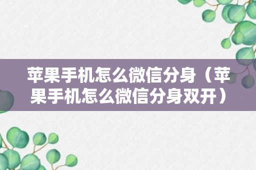 苹果手机怎么微信分身（苹果手机怎么微信分身双开）