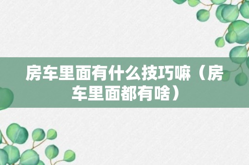 房车里面有什么技巧嘛（房车里面都有啥）