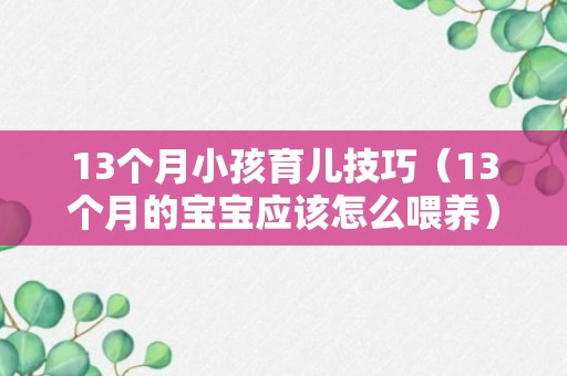 13个月小孩育儿技巧（13个月的宝宝应该怎么喂养）