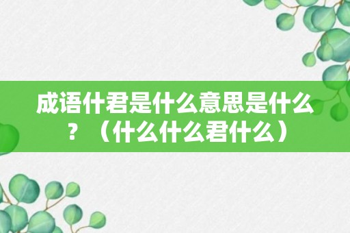 成语什君是什么意思是什么？（什么什么君什么）