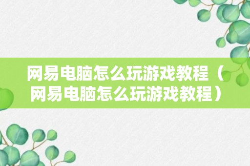 网易电脑怎么玩游戏教程（网易电脑怎么玩游戏教程）