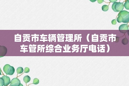 自贡市车辆管理所（自贡市车管所综合业务厅电话）