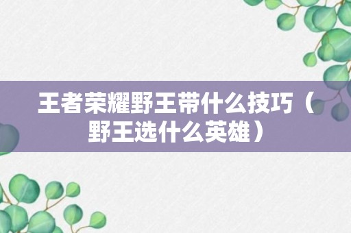 王者荣耀野王带什么技巧（野王选什么英雄）