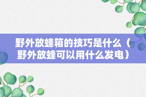 野外放蜂箱的技巧是什么（野外放蜂可以用什么发电）