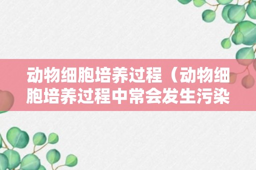 动物细胞培养过程（动物细胞培养过程中常会发生污染）