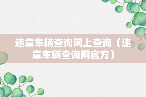 违章车辆查询网上查询（违章车辆查询网官方）