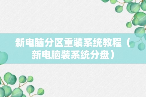 新电脑分区重装系统教程（新电脑装系统分盘）