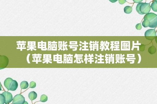 苹果电脑账号注销教程图片（苹果电脑怎样注销账号）