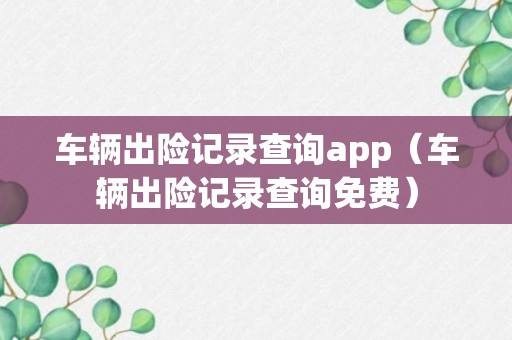 车辆出险记录查询app（车辆出险记录查询免费）