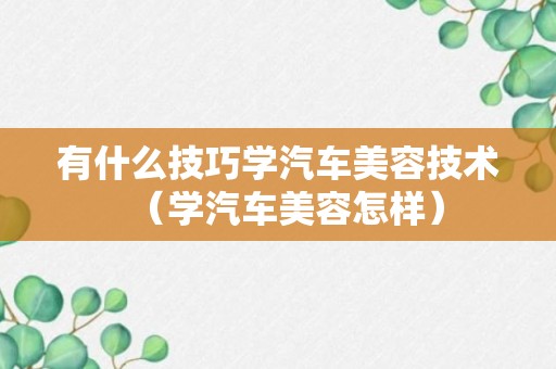 有什么技巧学汽车美容技术（学汽车美容怎样）