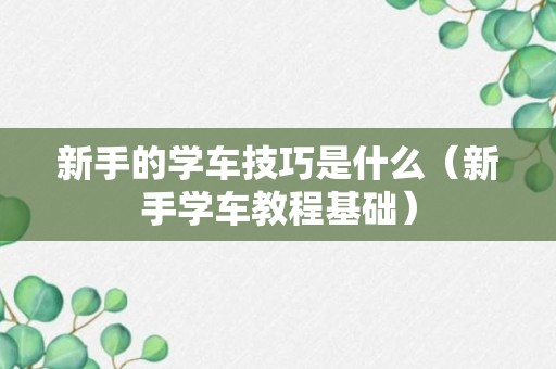 新手的学车技巧是什么（新手学车教程基础）