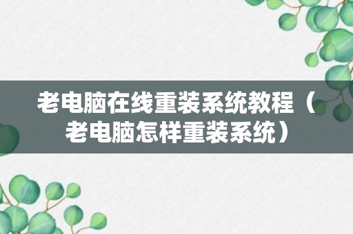 老电脑在线重装系统教程（老电脑怎样重装系统）