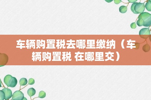 车辆购置税去哪里缴纳（车辆购置税 在哪里交）