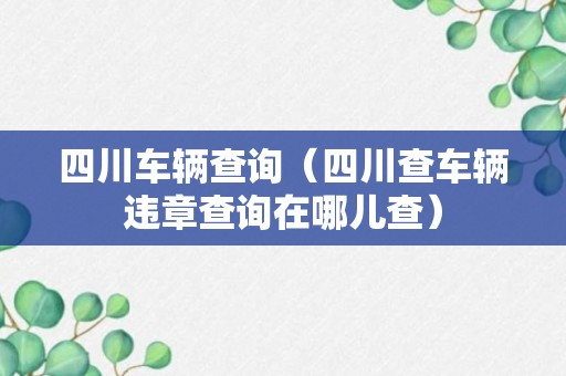 四川车辆查询（四川查车辆违章查询在哪儿查）