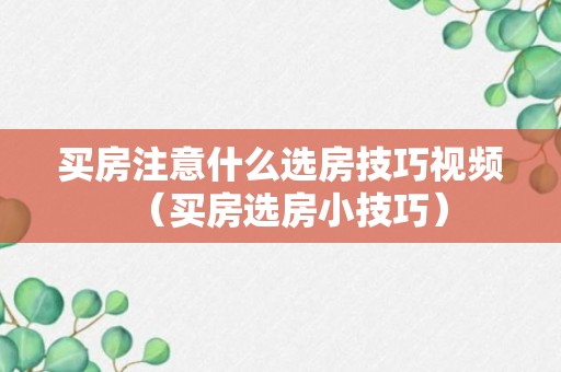 买房注意什么选房技巧视频（买房选房小技巧）