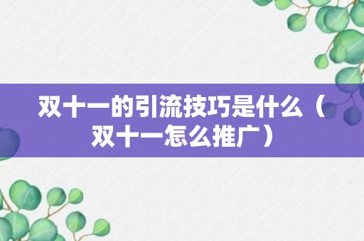 双十一的引流技巧是什么（双十一怎么推广）